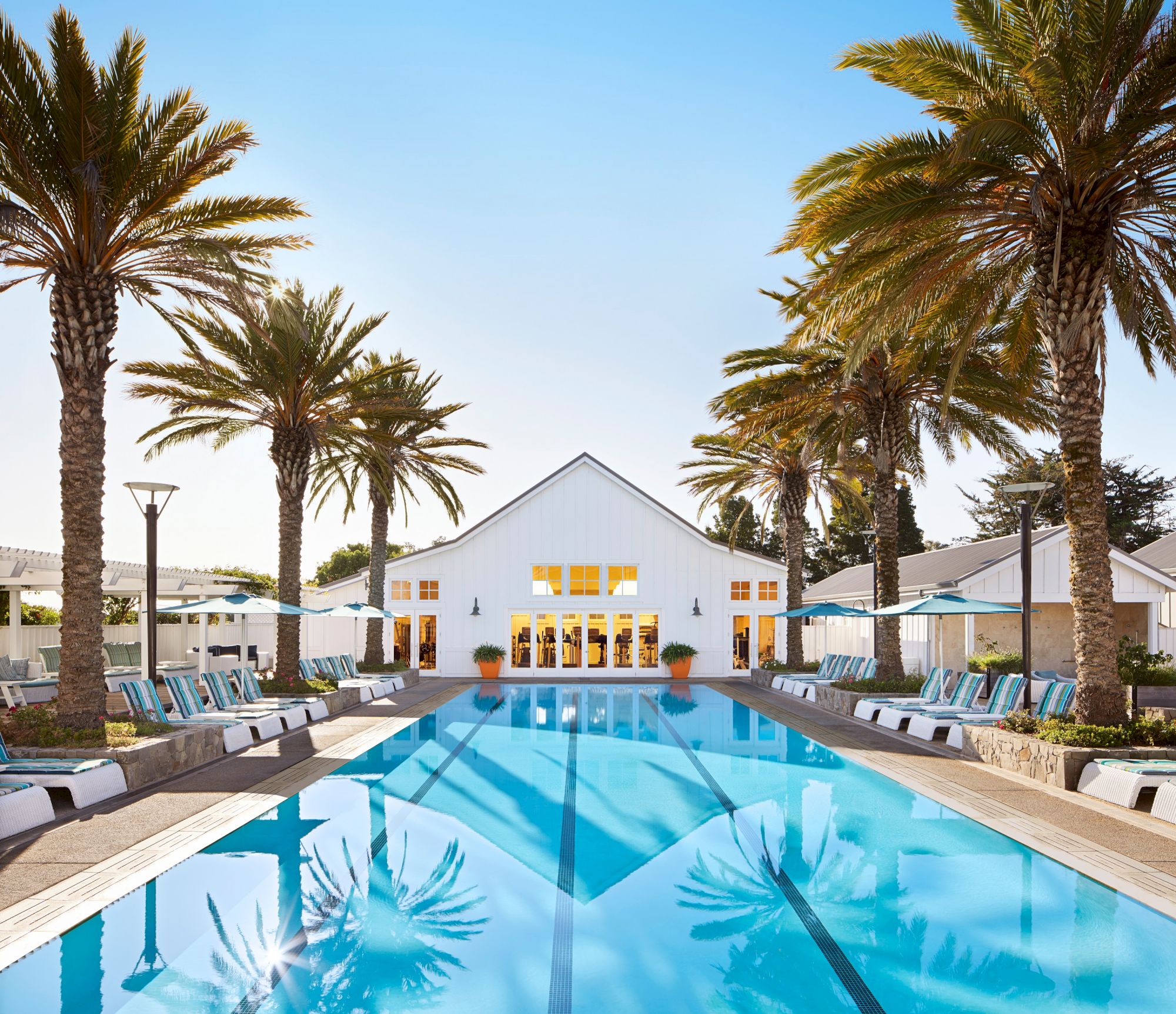Sunny resort scene with a blue swimming pool, striped loungers, palm trees, and a white building under clear sky.