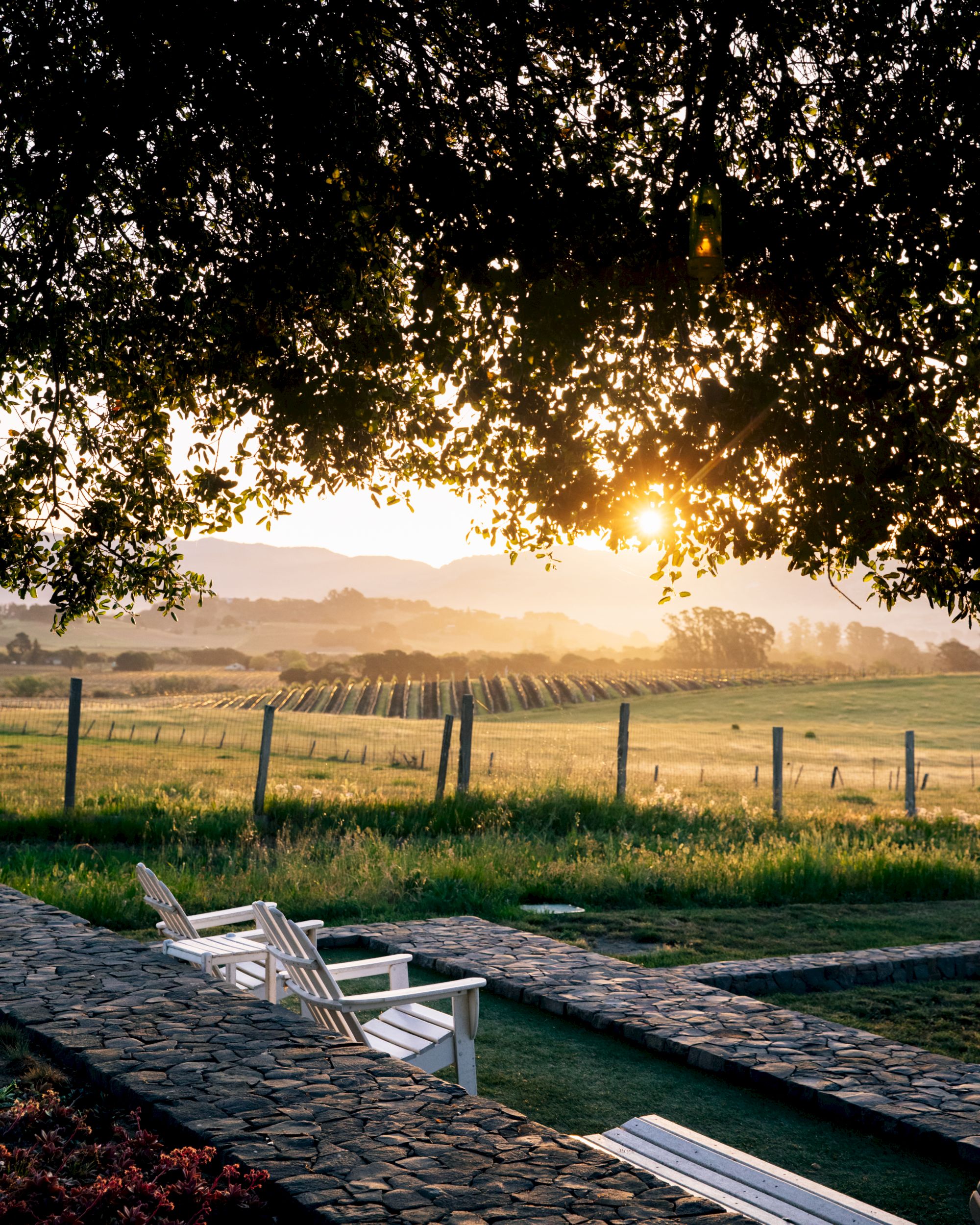 A calm countryside sunset over vineyards, framed by tree leaves, with white garden chairs on a stone patio catching the warm light.